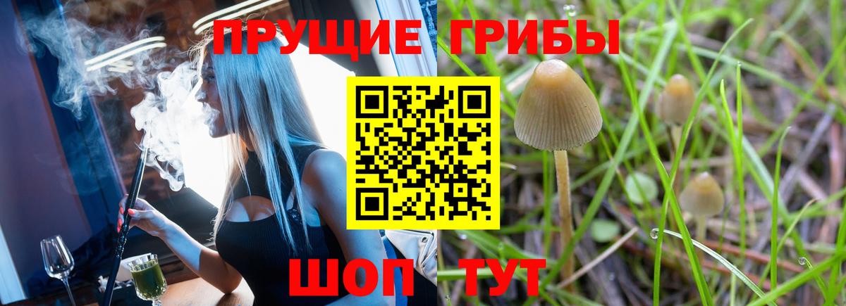 Галлюциногенные грибы Cubensis  Вход с VPN  закладка  Энгельс 